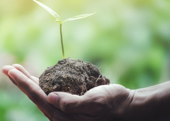 5 De Junio: Día Mundial Del Medio Ambiente