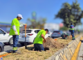 reforestan-calzada-madero