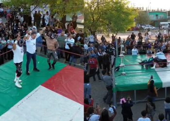 servicios-médicos-Médico-de-Barrio-Barrio-de-mi-Corazón-colonia-Martínez-bienestar-animal