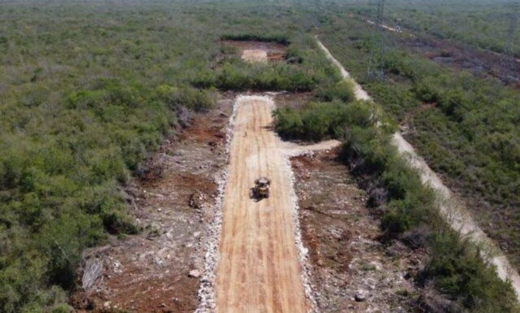 Organizaciones-piden-Semarnat-Quintana-Roo-SEMA