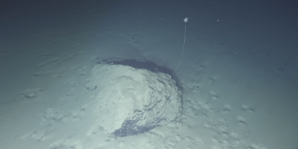 Ecosistema en la fosa Perú-Chile sorprende todo lo que sabíamos de la vida marina