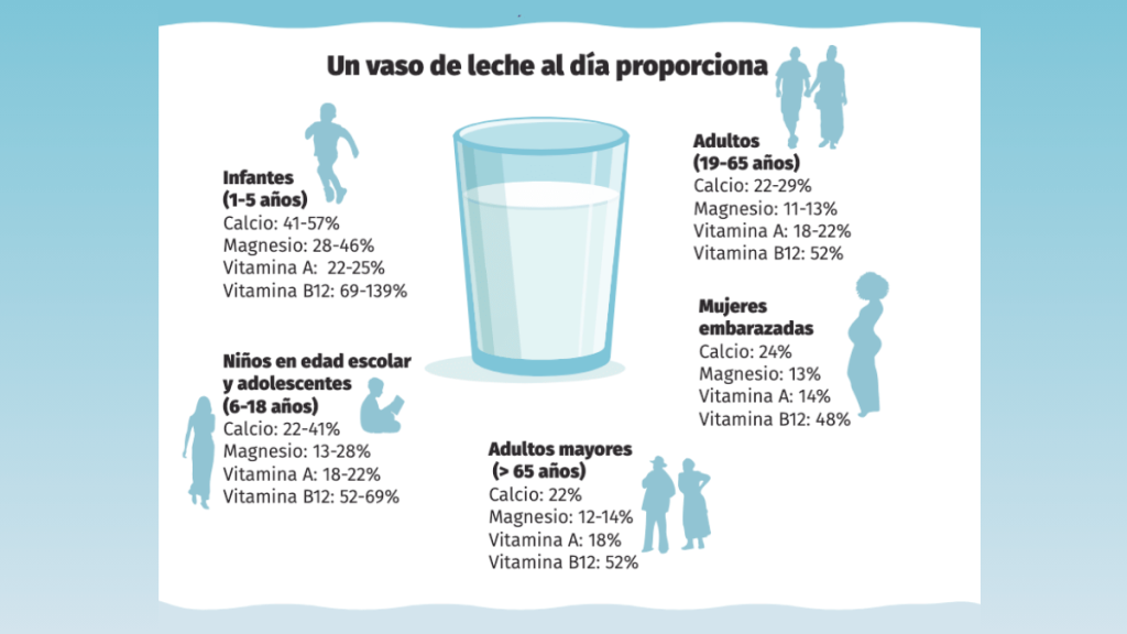 la leche es parte importante de una alimentación equilibrada